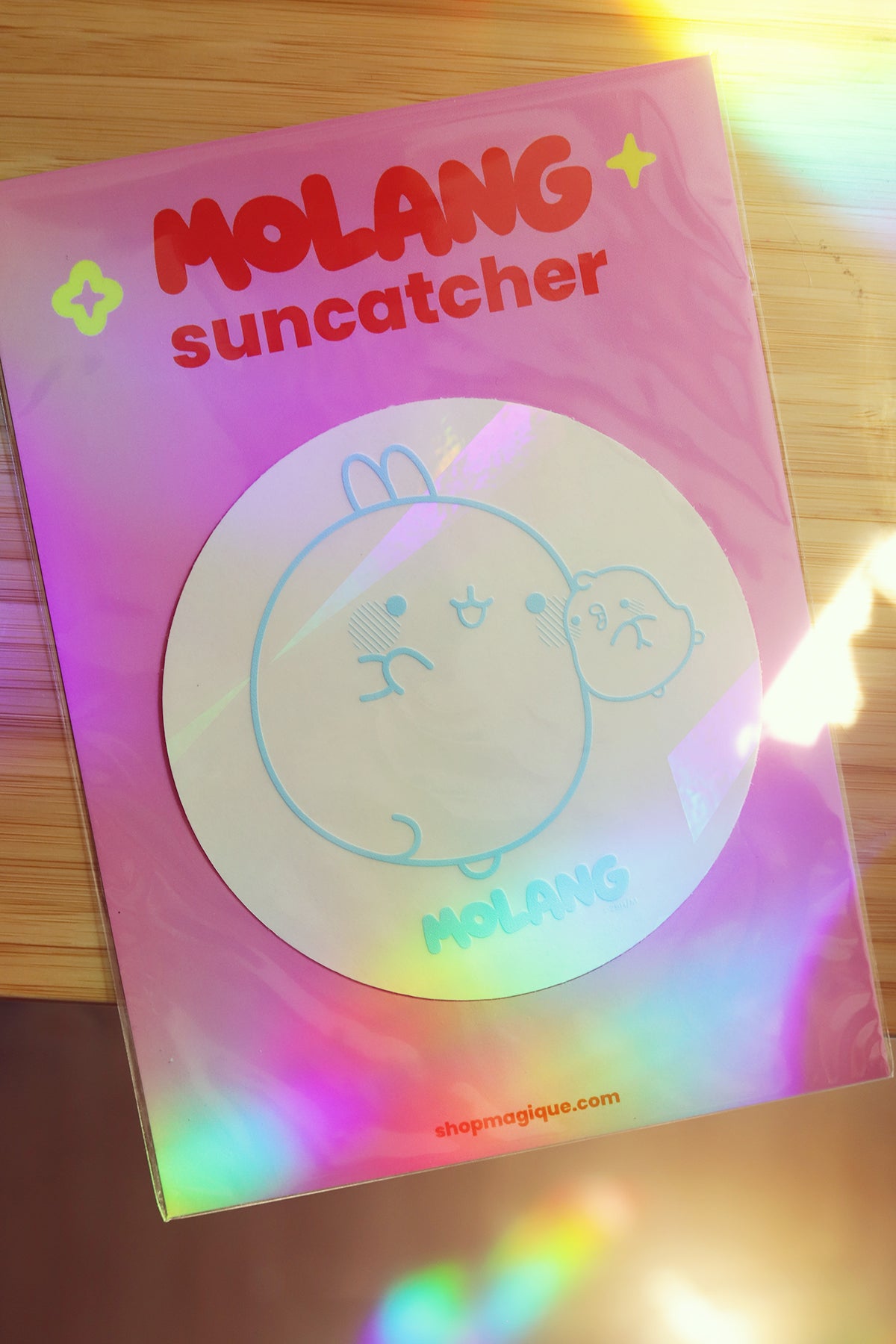 Vitrine en verre avec sticker suncatcher Molang créateur d'arc-en-ciel, décor lumineux coloré pour fenêtre ou mur.