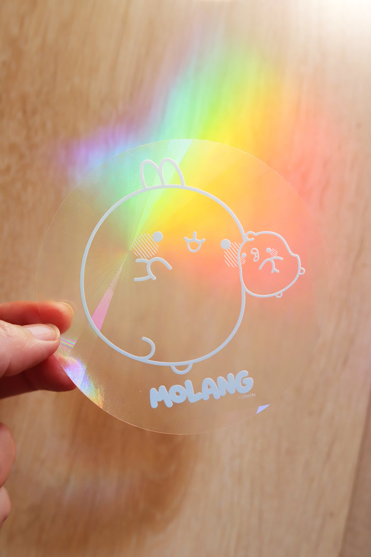 Vitrail solaire "Molang" de Shop Magique avec illustration colorée d'un personnage mignon et un arc-en-ciel lumineux.