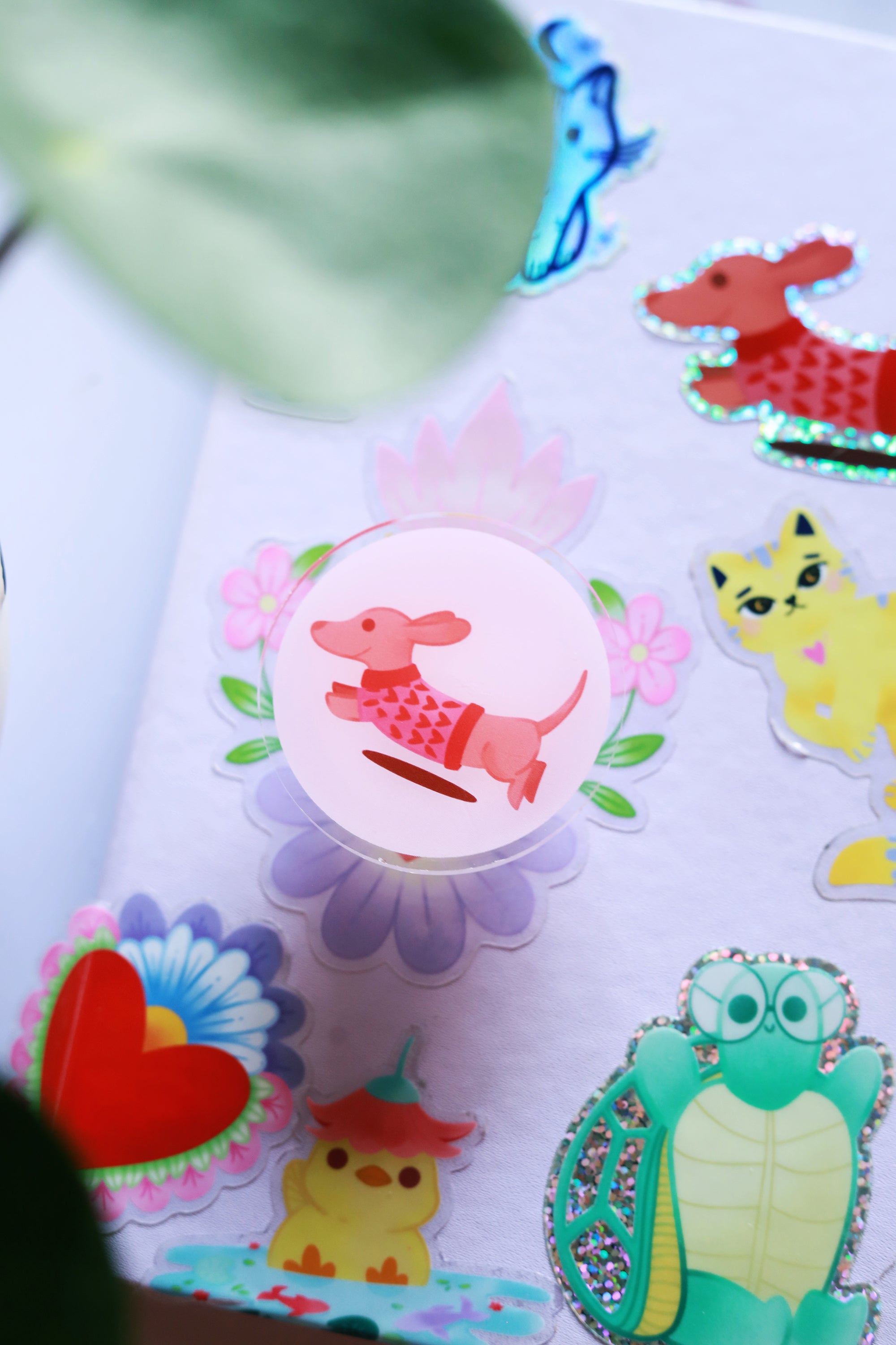 Grip de téléphone Teckel