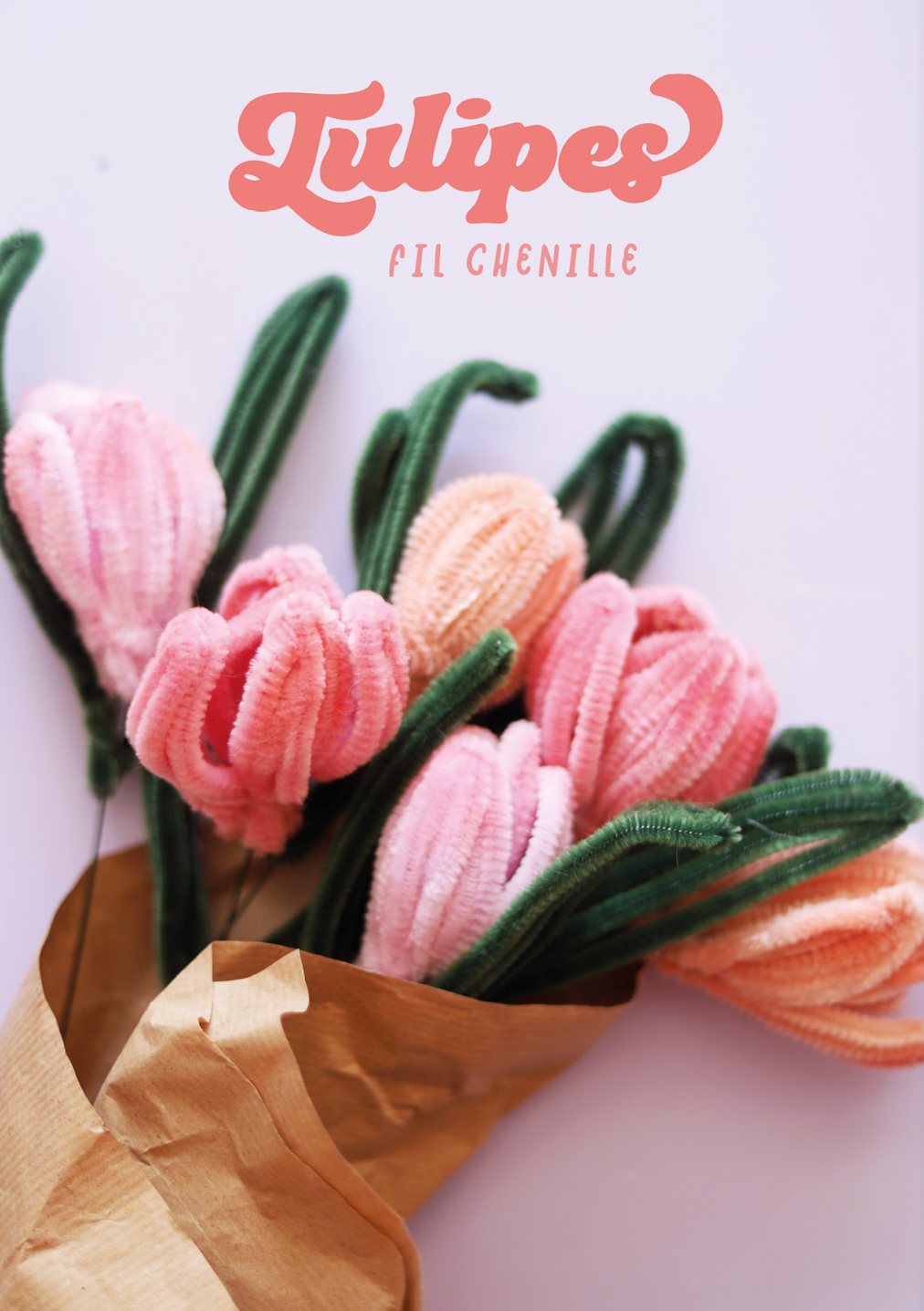 Livre Plantes Crazy de Shop Magique pour créer des fleurs en papier et en fils chenille, guide DIY créatif et coloré.