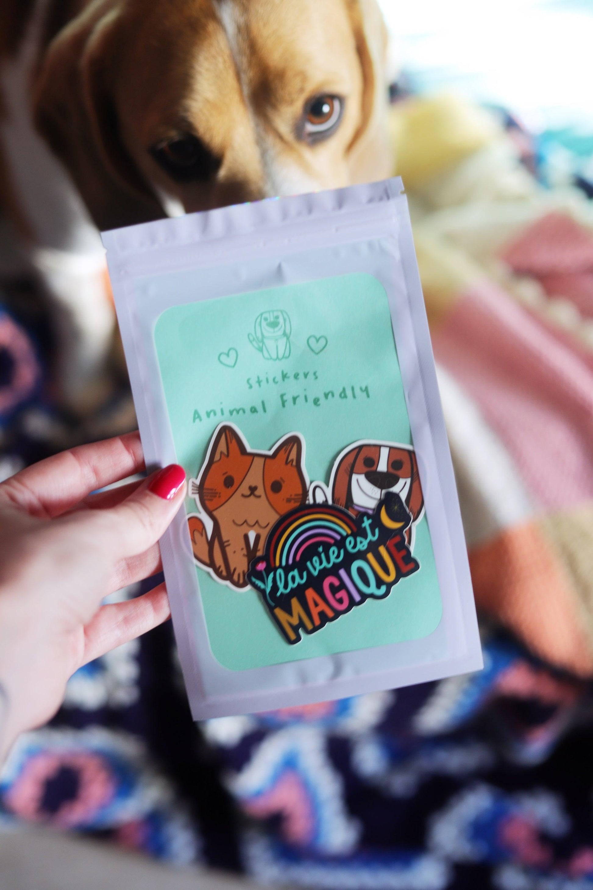 Stickers Animal Friendly - Shop Magique